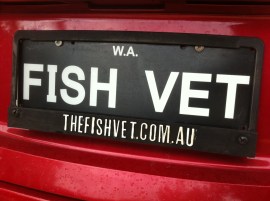 Fish Vet