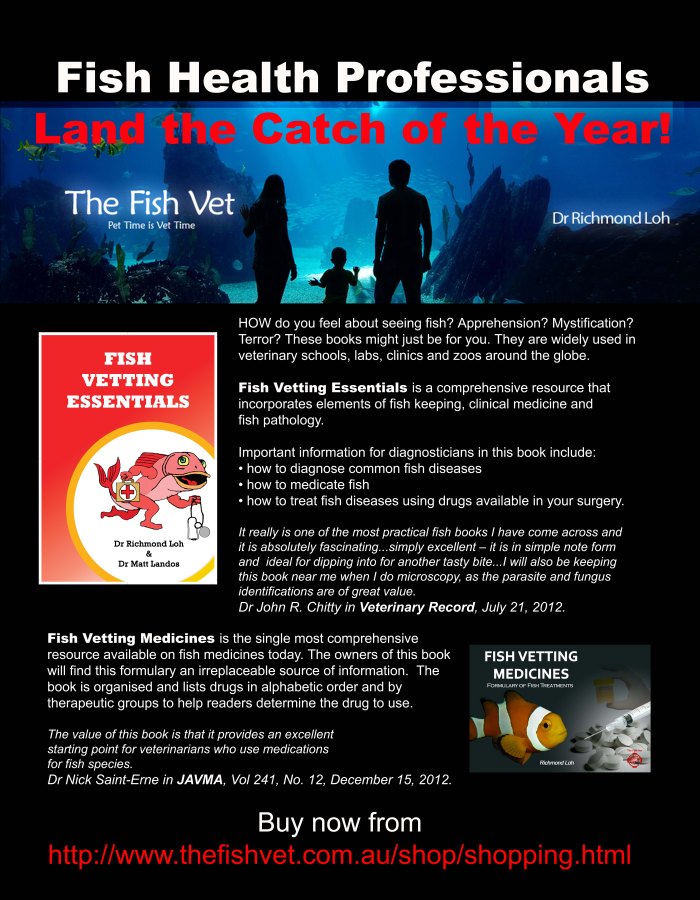 Fvm Fish Fish Vetting Series Updates. – The Fish Vet's Blog