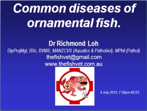 Common ornamental fish diseases talk