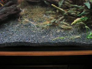 7 Area_2+3_After_Treatment