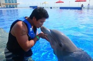 dolphinkiss