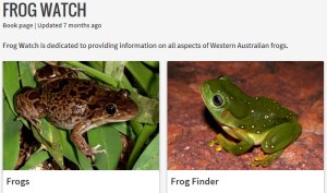 frogwatch