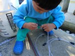 Junior fish doctor fitting an airstone to the airline.