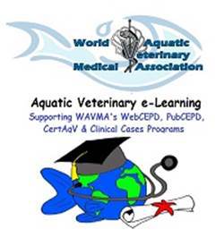 wp-1431975545994 image