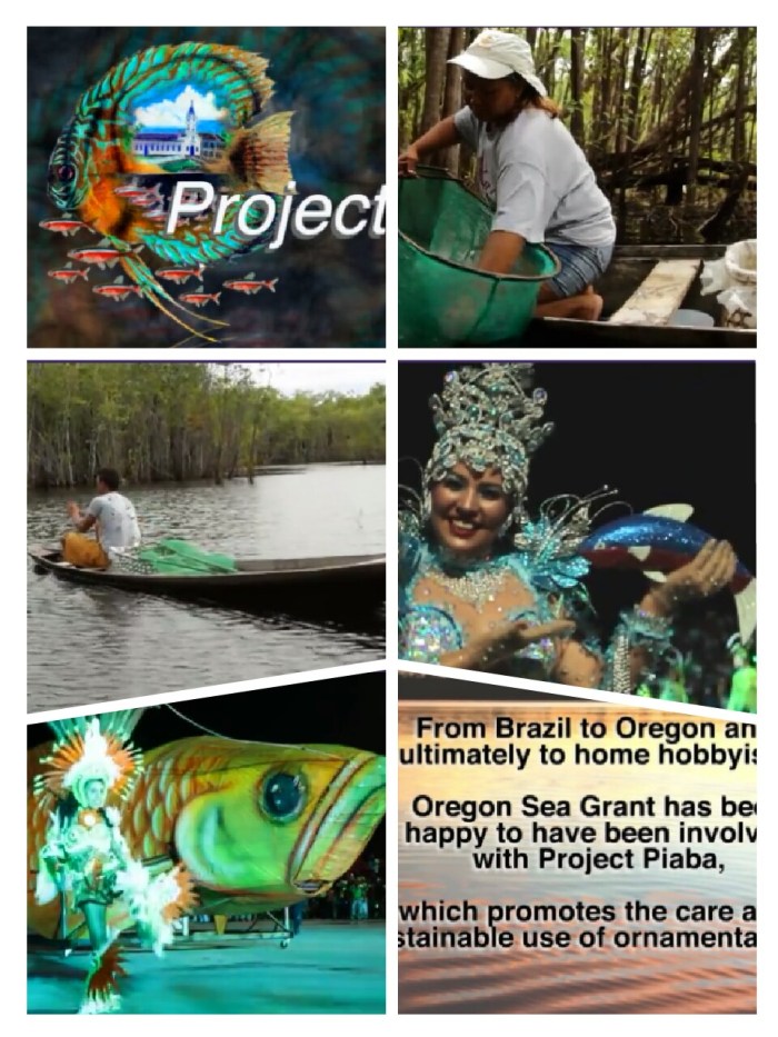 wp-1432343910582 image