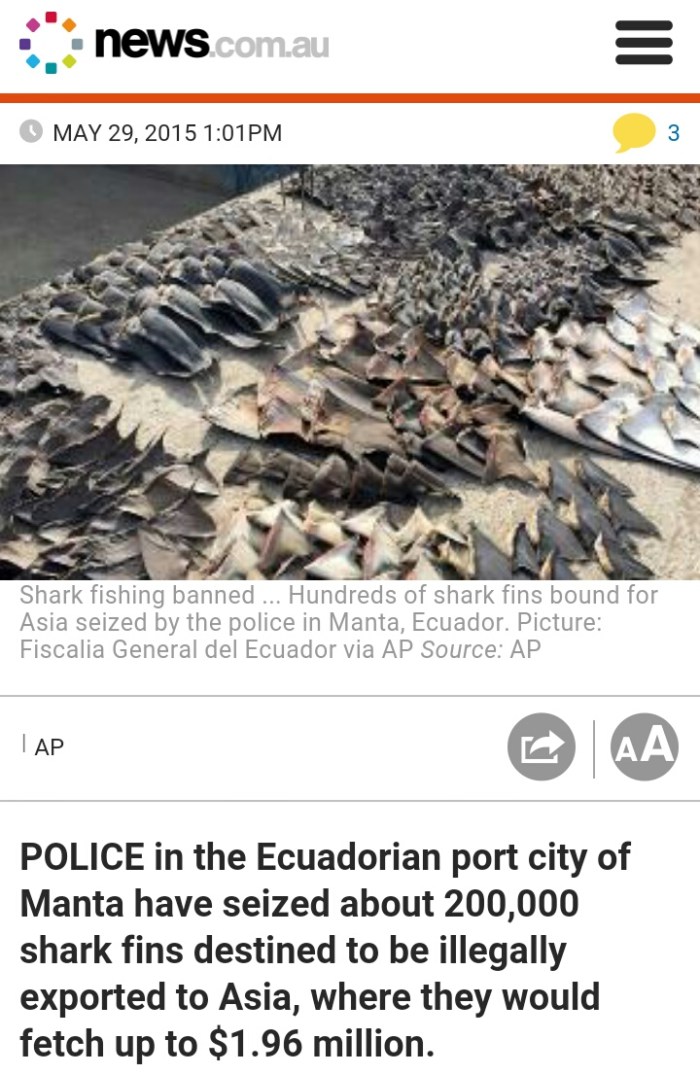 wp-1433209674342 image